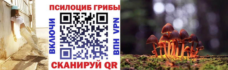 Галлюциногенные грибы Magic Shrooms Елабуга